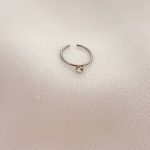 پیرسینگ بینی حلقه ای تک نگین - تصویر 2