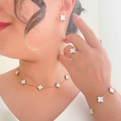 سرویس کامل ونکلیف سفید استیل